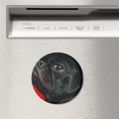 Rojo Magnet (In Situ (Geschirrspüler))