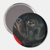Rojo Magnet (Vorderseite/Rückseite)