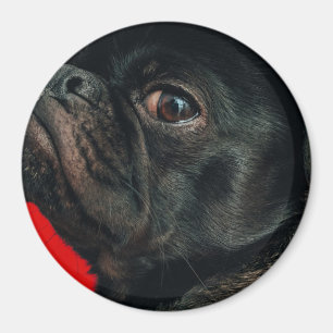 Rojo Magnet