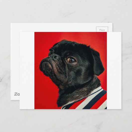 Rojo Postkarte (Vorne/Hinten)