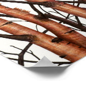 Rojos abbrechen poster (Ecke)