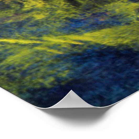 Rokoko Delight 1995 Poster (Ecke)