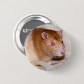 Rolando Abzeichen Button (Vorne & Hinten)