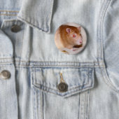 Rolando Abzeichen Button (Beispiel)