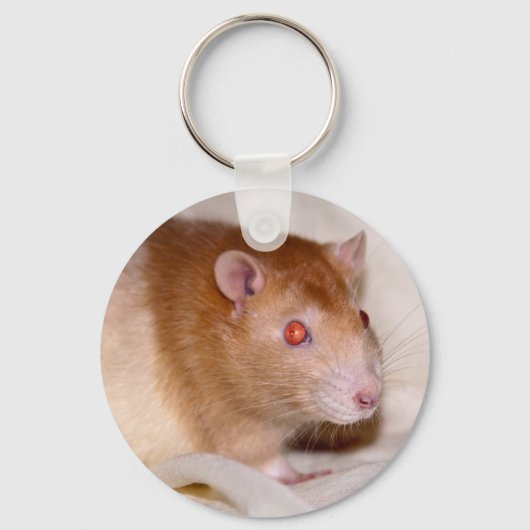 Rolando Keyring Schlüsselanhänger (Vorderseite)