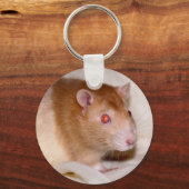 Rolando Keyring Schlüsselanhänger (Vorderseite)