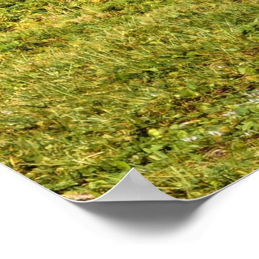 Rollbahn- und Landebahnsinns Poster (Ecke)