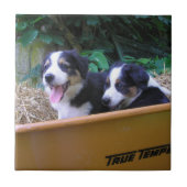 Rollbarrierfahrt Fliese (Vorderseite)