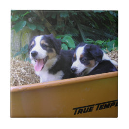 Rollbarrierfahrt Fliese