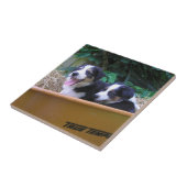 Rollbarrierfahrt Fliese (Seite)