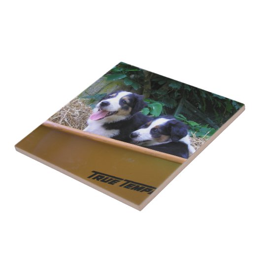 Rollbarrierfahrt Fliese (Seite)