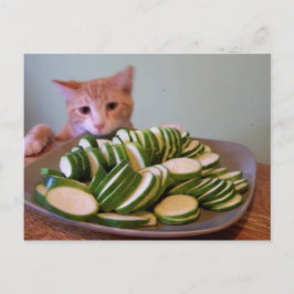 Rolle in Aktion Postkarte