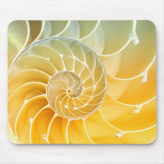 Rolle Mousepad (Vorne)