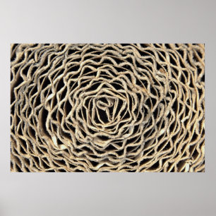 Rolle von Wellpapier Poster