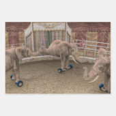 RollElefanten Geschenkpapier Set (Vorderseite 3)