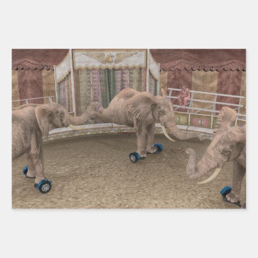 RollElefanten Geschenkpapier Set (Vorderseite 3)