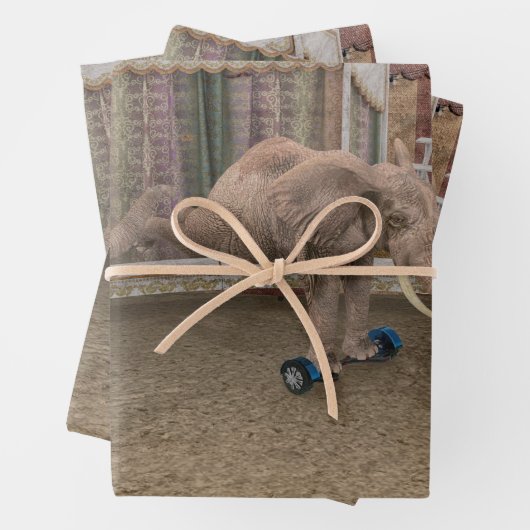 RollElefanten Geschenkpapier Set (Beispiel)