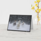 Rollen-Donner Karte (Gelbe Blume)