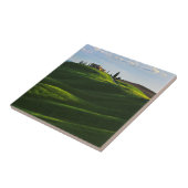 Rollen-Hügel nahe Asciano, Toskana Fliese (Seite)