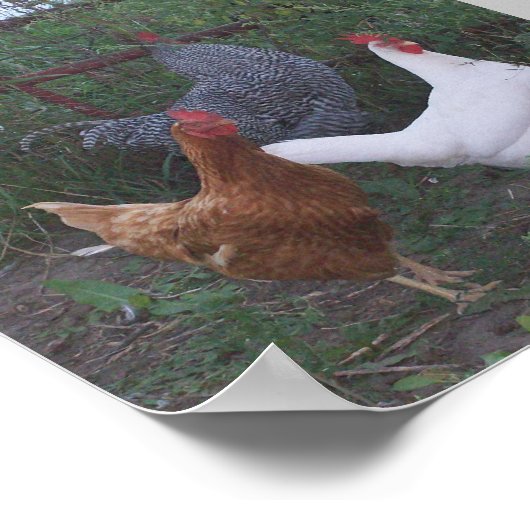 Rollen X 3 Poster (Ecke)