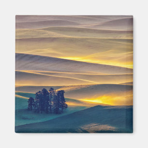 Rollende Weizenberge bei Sonnenaufgang WA Magnet