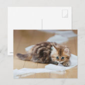 Rollenkitt Postkarte (Vorne/Hinten)