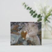 Rollenmodell Postkarte (Stehend Vorderseite)