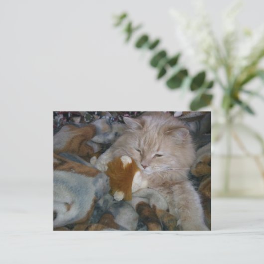 Rollenmodell Postkarte (Stehend Vorderseite)