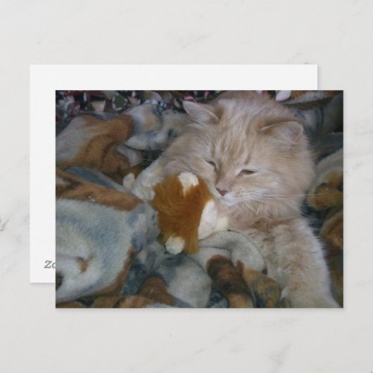 Rollenmodell Postkarte (Vorne/Hinten)