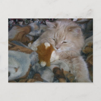 Rollenmodell Postkarte