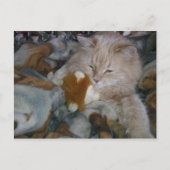 Rollenmodell Postkarte (Vorderseite)