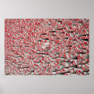Rollenpapier Poster
