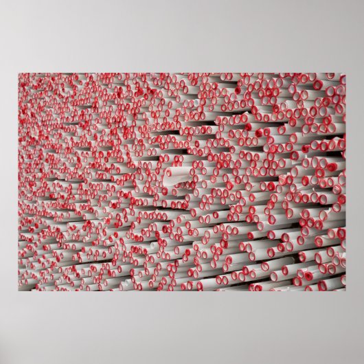 Rollenpapier Poster (Vorne)