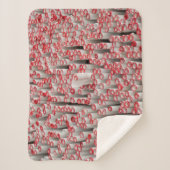 Rollenpapier Sherpadecke (Vorderseite)