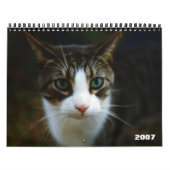 ROLLER 2007 KALENDER (Titelbild)