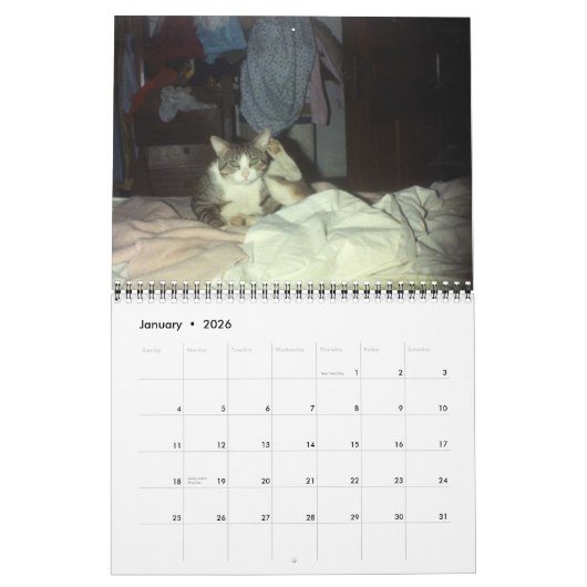 ROLLER 2007 KALENDER (Jan 2026)