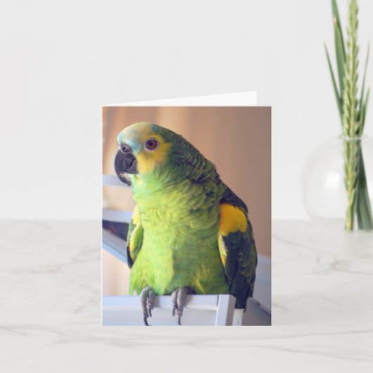 Roller Karte (Vorderseite)