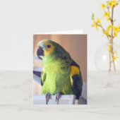 Roller Karte (Gelbe Blume)