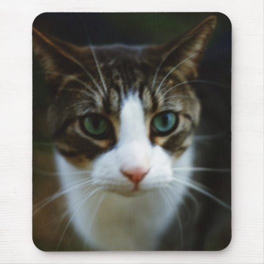 ROLLER MOUSEPAD (Vorne)