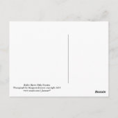 Roller Skate Baby Hintern Postkarte (Rückseite)