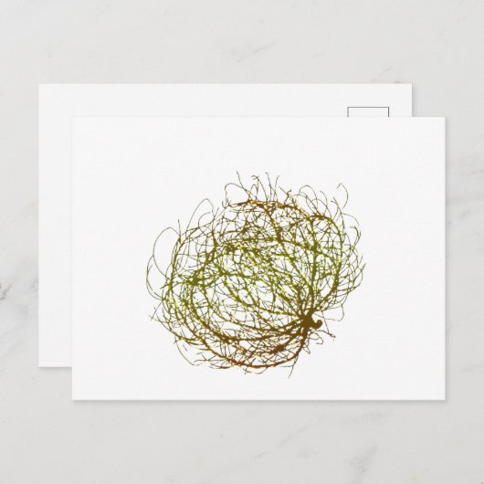 Rolling Golden Tumbleweed Pflanze Art Postkarte (Vorne/Hinten)