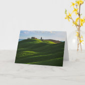 Rolling Hill in der Nähe von Asciano, Toskana Karte (Gelbe Blume)