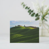 Rolling Hill in der Nähe von Asciano, Toskana Postkarte (Stehend Vorderseite)