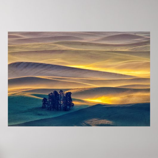 Rolling Hills of Wheat at Sunrise | WA Poster (Vorne)