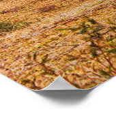 Rolling Hills Poster (Ecke)
