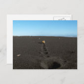 Rolling Stone am Strand Postkarte (Vorne/Hinten)