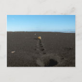 Rolling Stone am Strand Postkarte (Vorderseite)