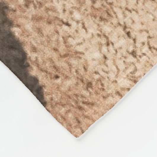 ROLLKÜCHE FLEECEDECKE (Ecke)