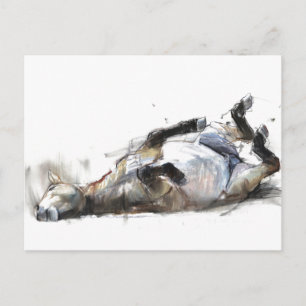 Rollrollen 2011 postkarte