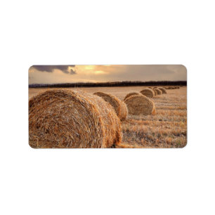 Rolls des Heus Adressaufkleber